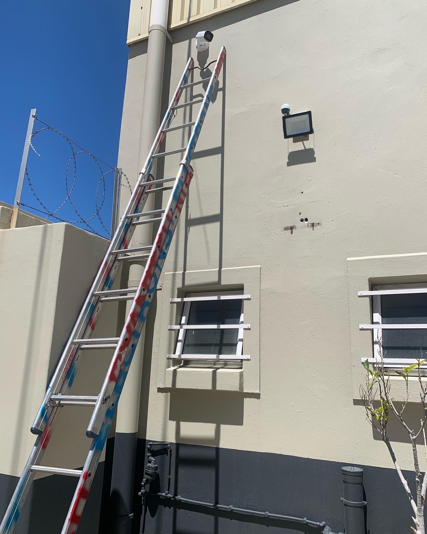 1D13F709-431C-406C-BDEA-F281CA7C3BAF